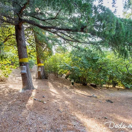 Apartament Attractive Studio With Garden - Dodo Et Tartine